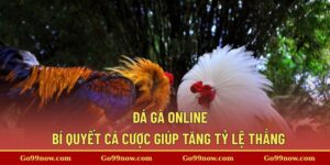 Đá Gà Online