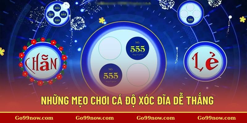 Những mẹo chơi cá độ xóc đĩa dễ thắng tại nền tảng